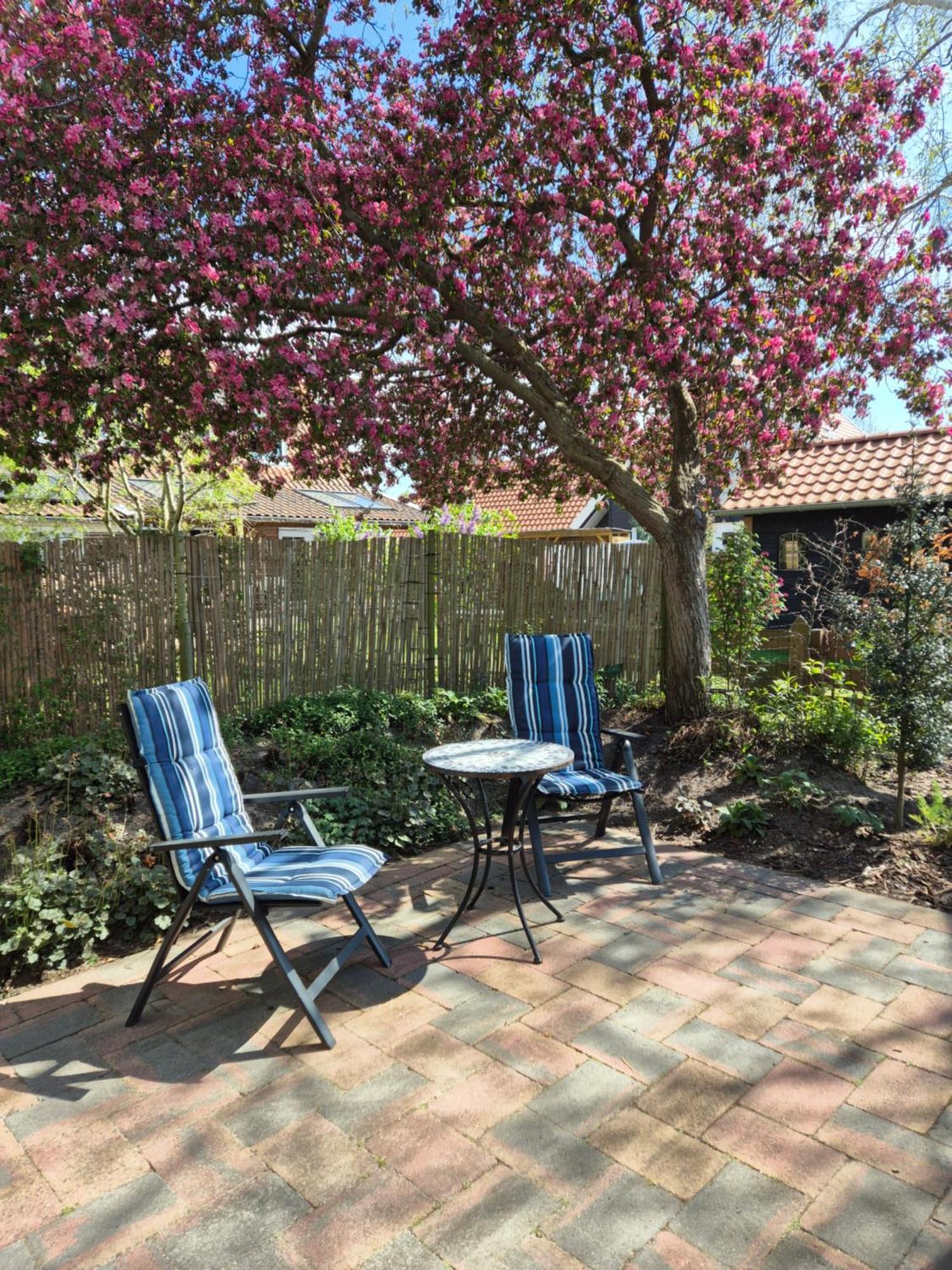 Vakantie Ouddorp Exterior photo